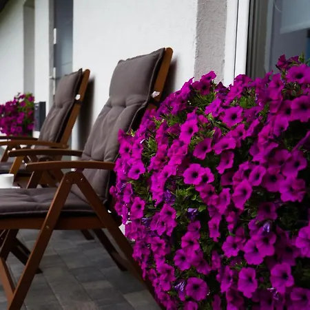 Apartament Asnyka Zamość Eksteriør bilde